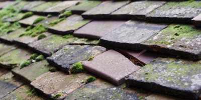 Bryndu roof repair costs